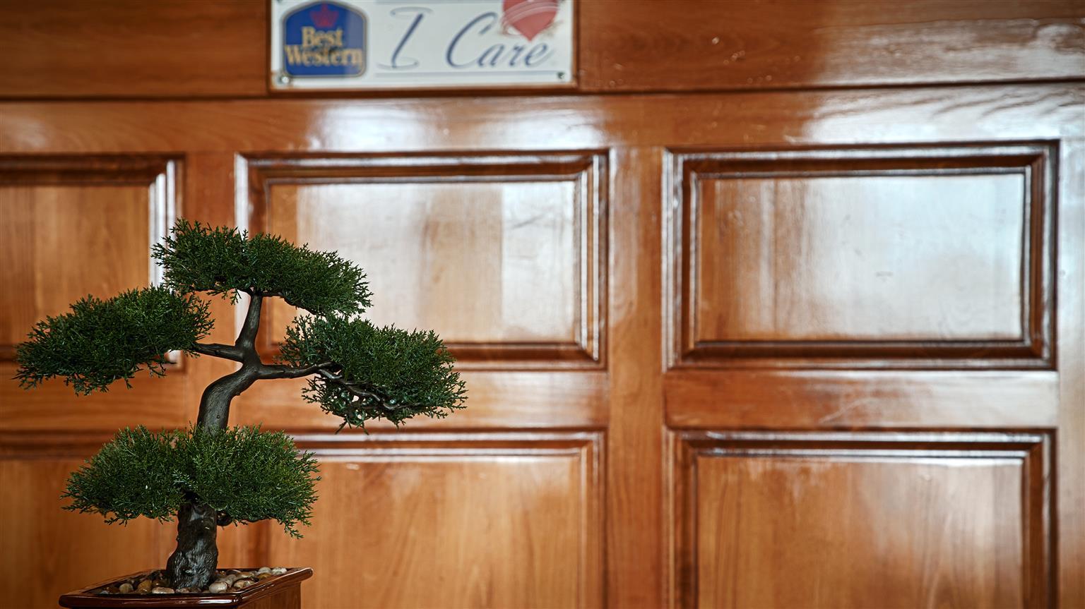 Best Western Montis Inn Сент-Роберт Экстерьер фото